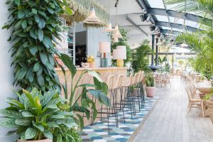 brasserie Polpo Parijs